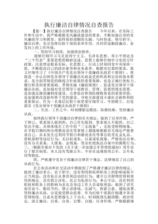 执行廉洁自律情况自查报告