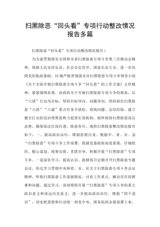 扫黑除恶“回头看”专项行动整改情况报告多篇