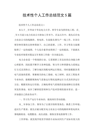 技术性个人工作总结范文5篇