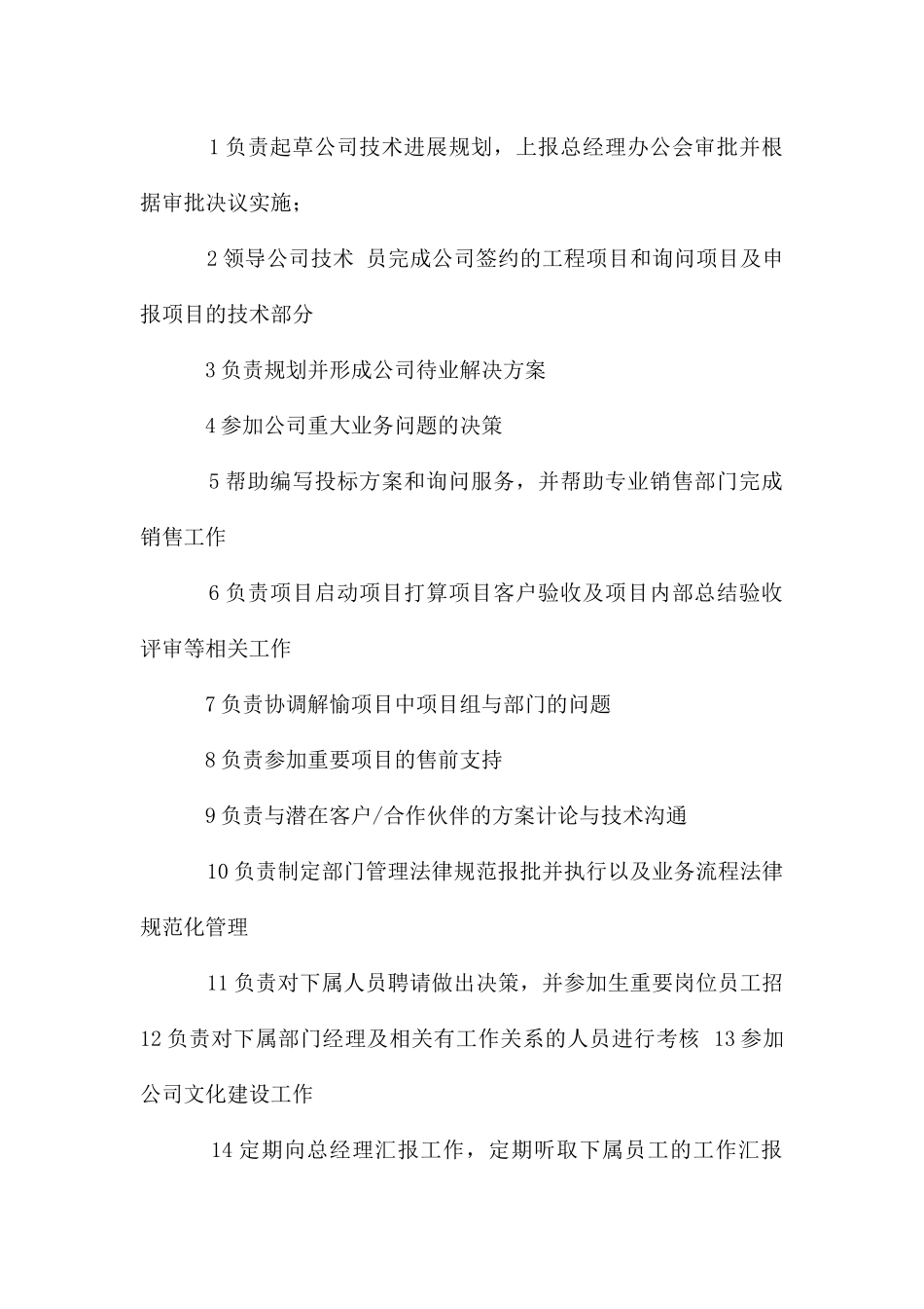 技术总监职责_第2页