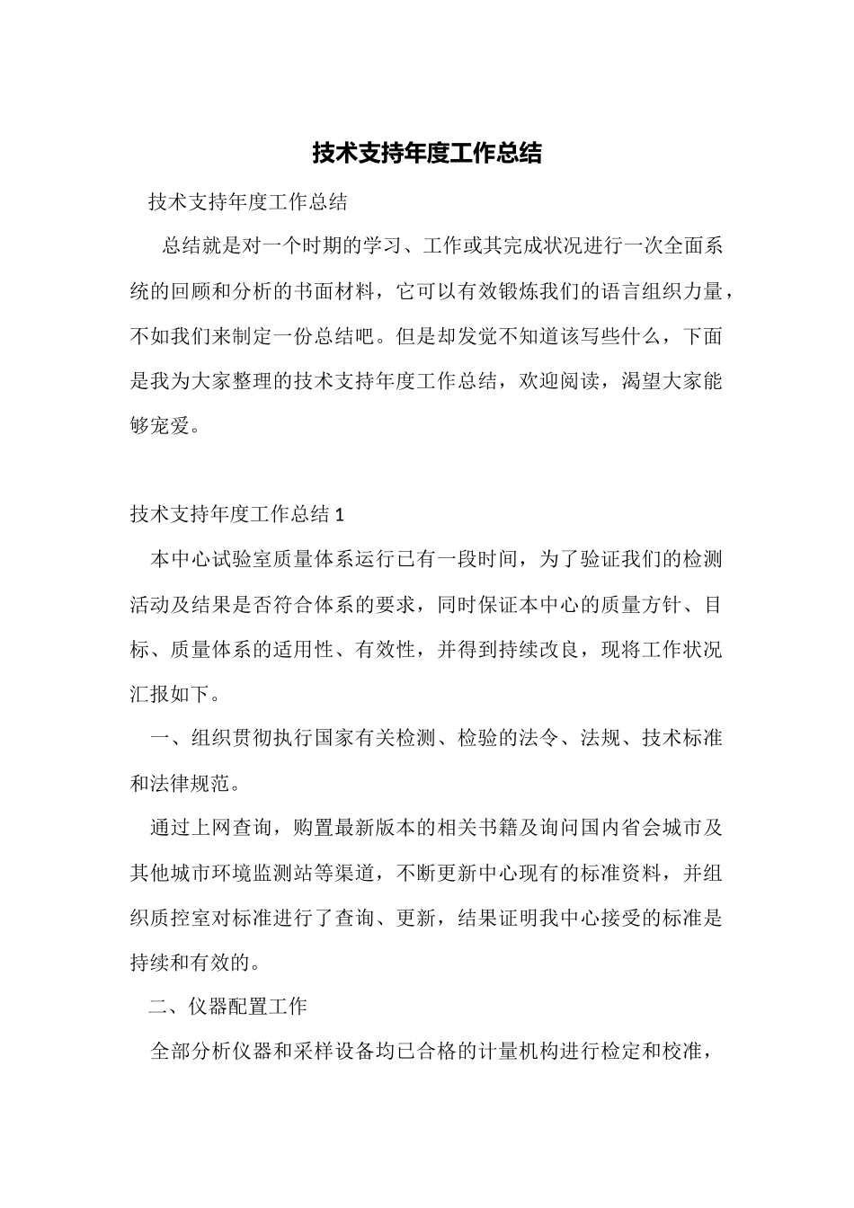 技术支持年度工作总结_第1页