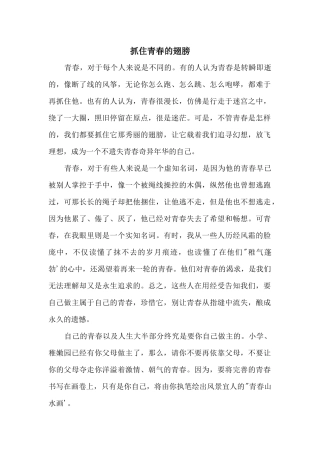 抓住青春的翅膀