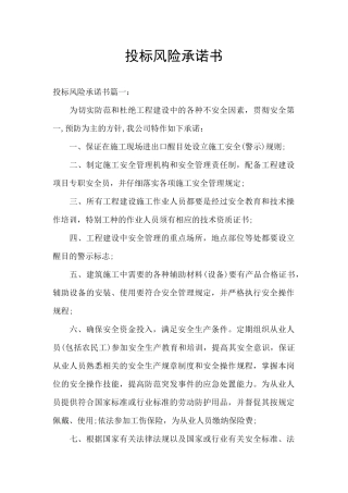 投标风险承诺书