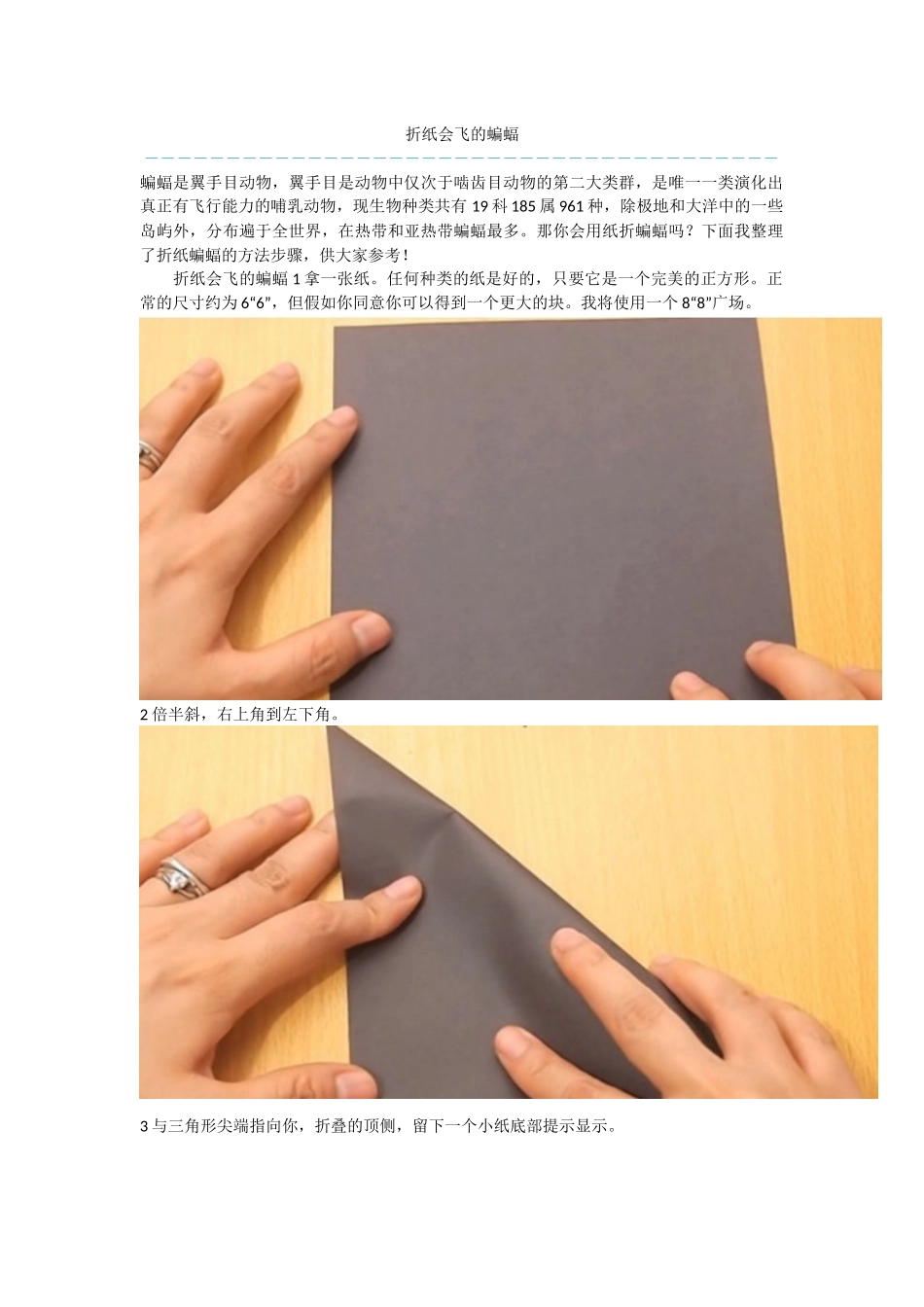 折纸会飞的蝙蝠_第1页