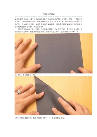 折纸会飞的蝙蝠