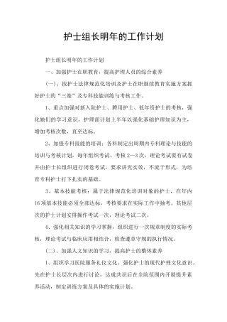 护士组长明年的工作计划