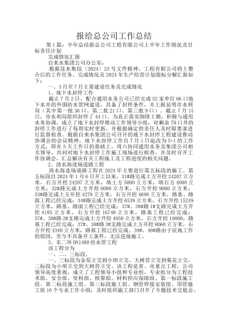 报给总公司工作总结