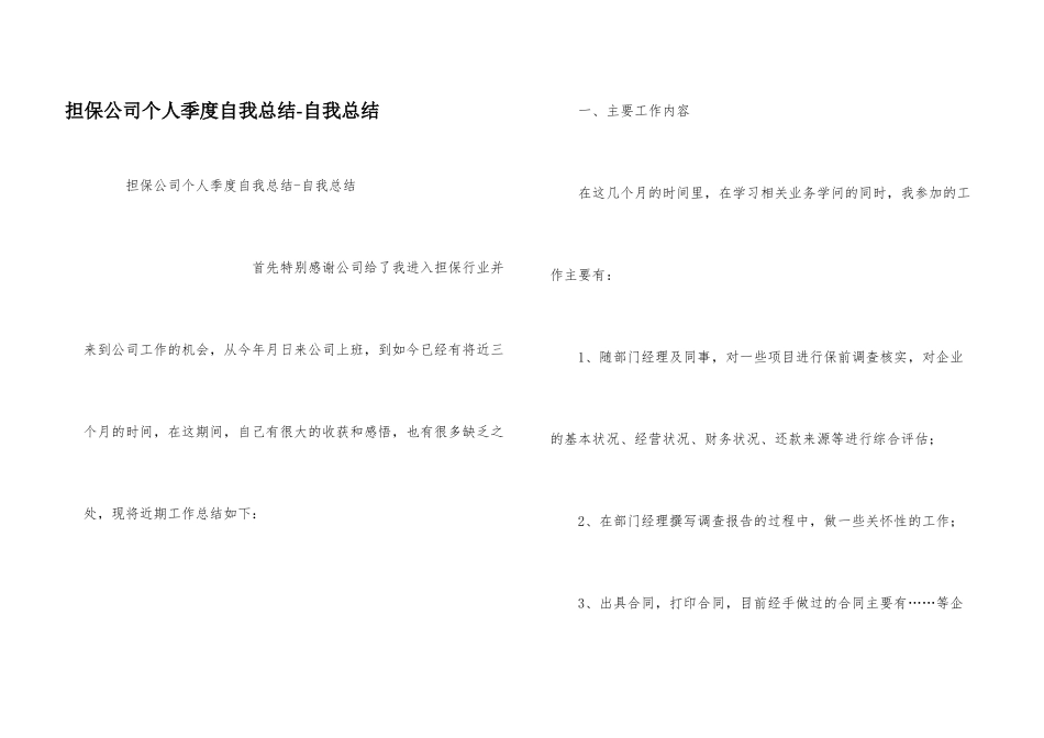 担保公司个人季度自我总结_第1页