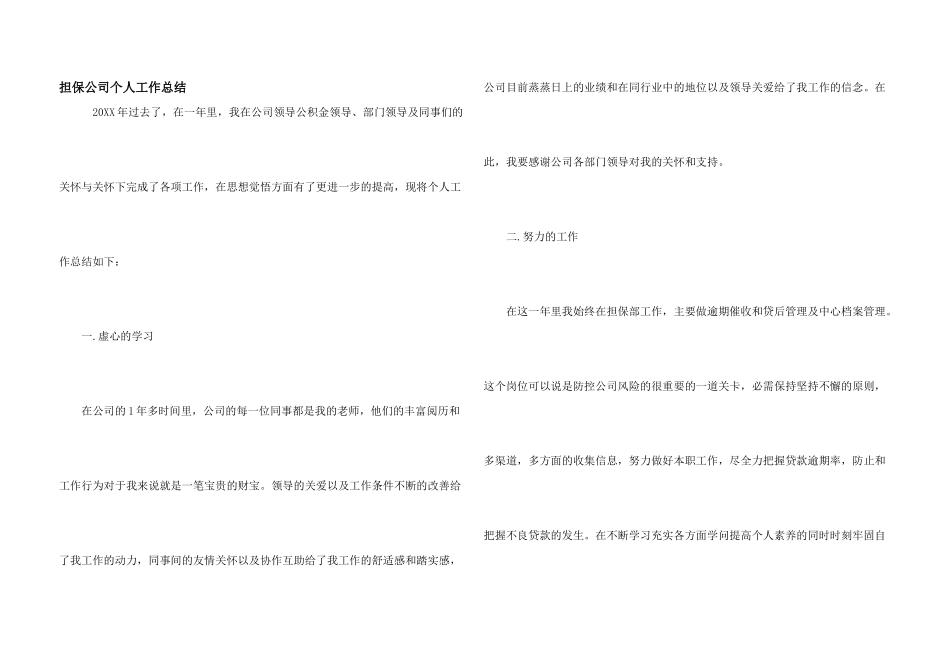 担保公司个人工作总结_第1页