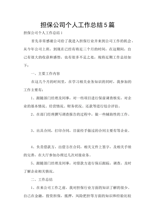 担保公司个人工作总结5篇