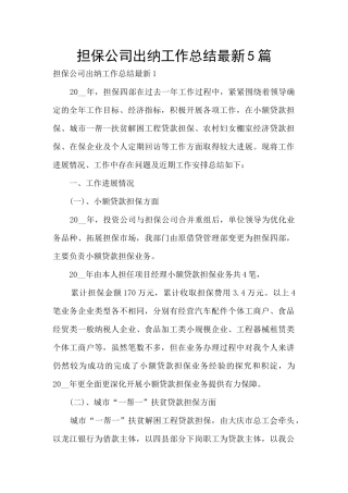 担保公司出纳工作总结最新5篇