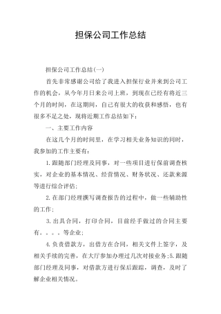 担保公司工作总结