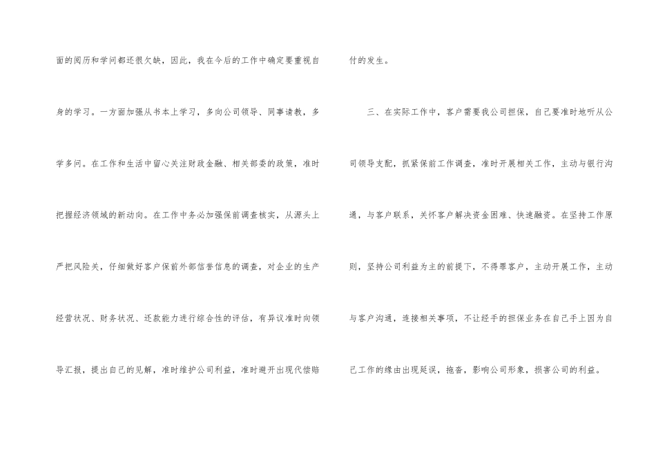 担保公司工作总结3篇_第2页