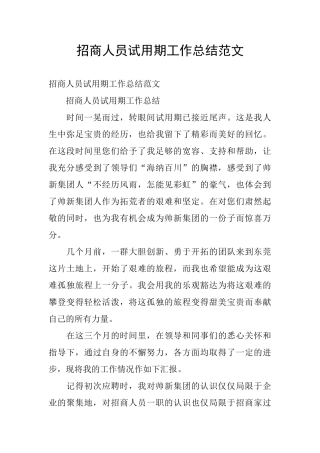 招商人员试用期工作总结范文