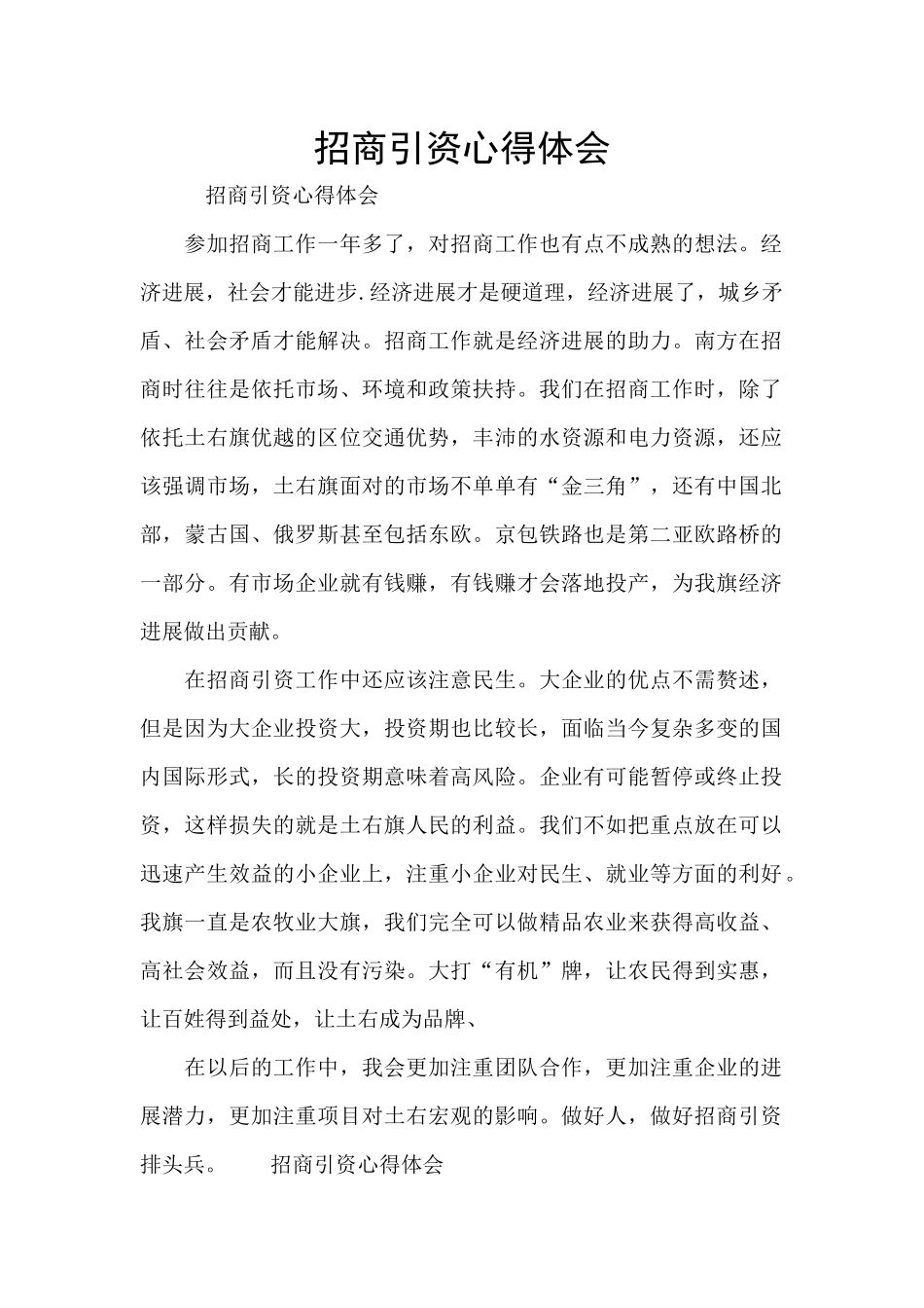 招商引资心得体会_第1页