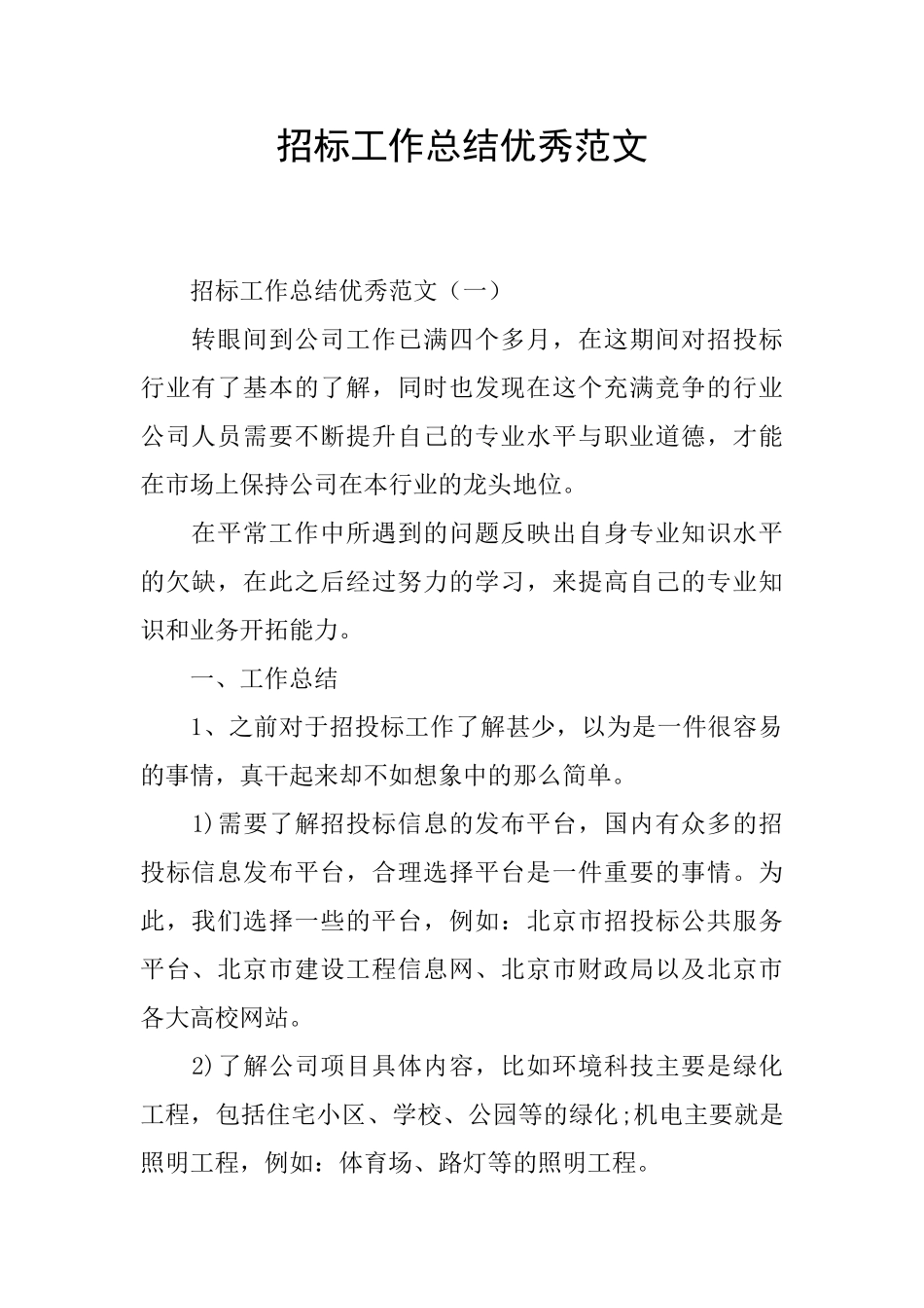 招标工作总结优秀范文_第1页