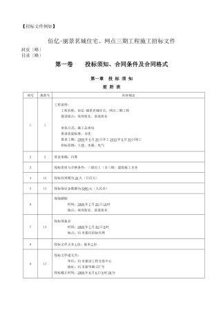 招标文件示例