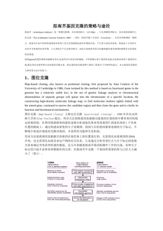 拟南芥基因克隆的策略与途径