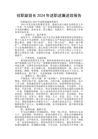 挂职副县长2024年述职述廉述效报告