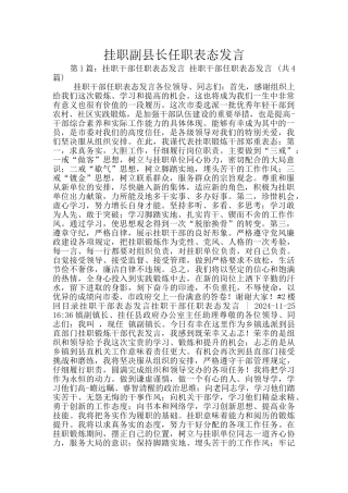 挂职副县长任职表态发言