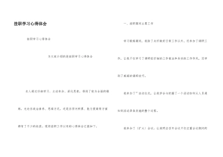 挂职学习心得体会