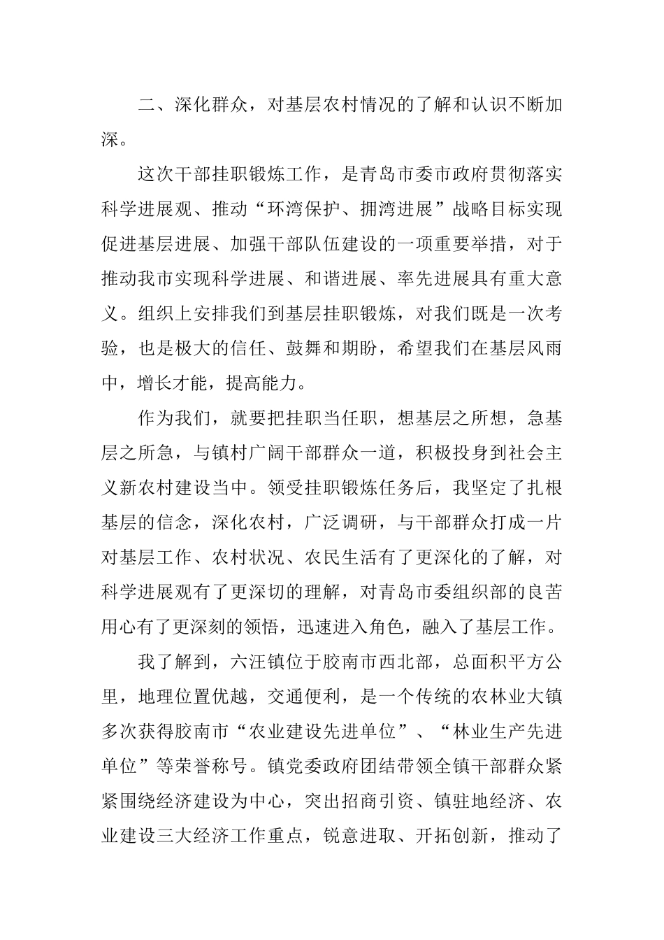 挂职干部个人工作总结范文_第2页