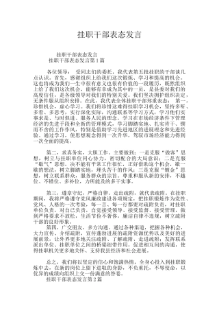 挂职干部表态发言