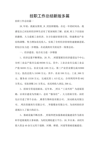 挂职工作总结新版多篇