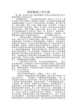 挂职煅练工作汇报