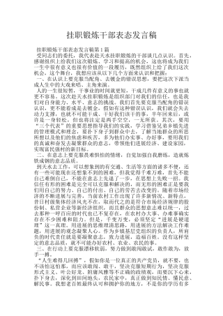 挂职锻炼干部表态发言稿