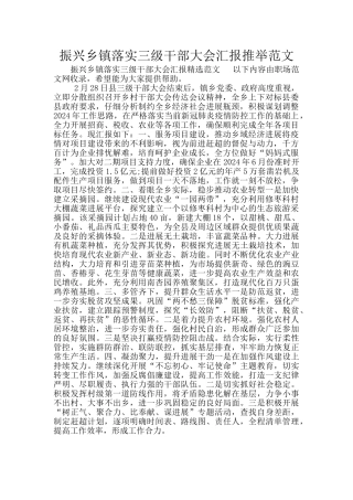 振兴乡镇落实三级干部大会汇报推荐范文