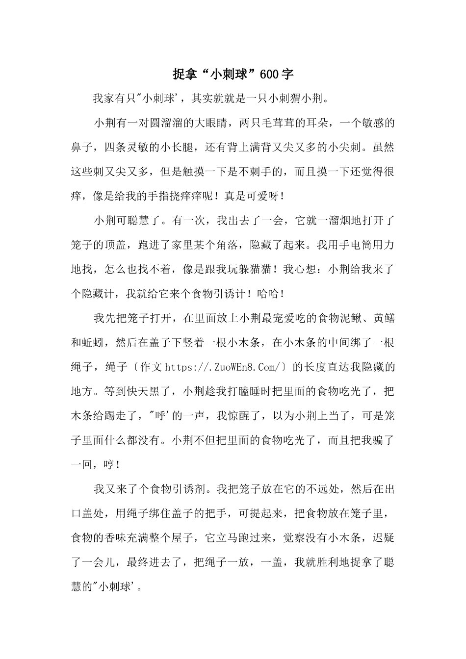 捉拿“小刺球”600字_第1页