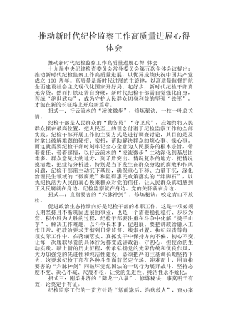 推动新时代纪检监察工作高质量发展心得体会