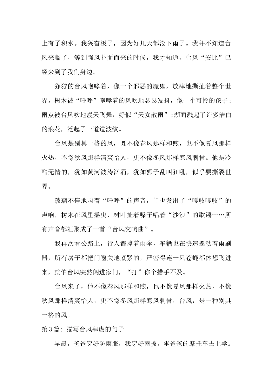 描写台风肆虐的句子集合9篇_第2页
