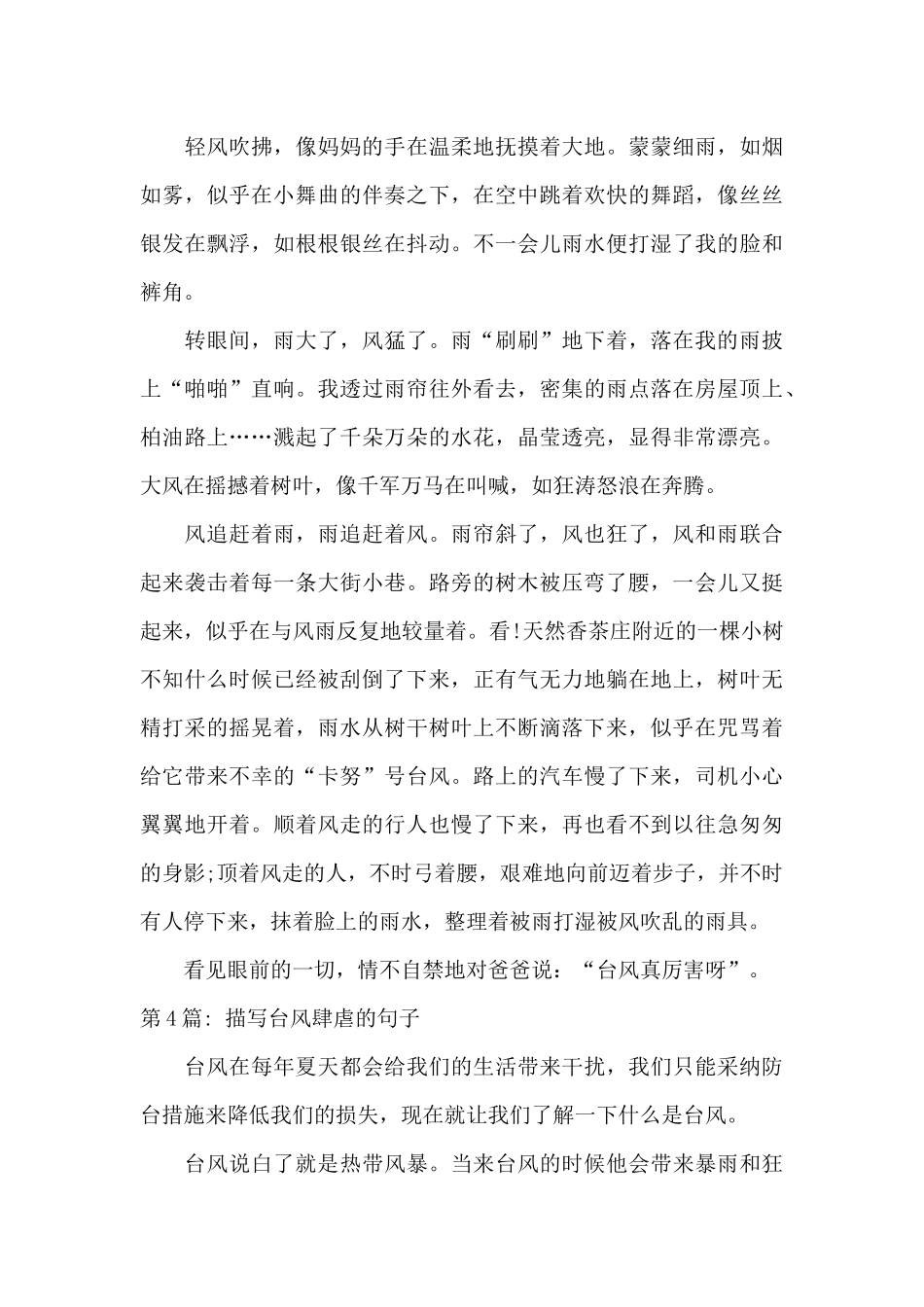 描写台风肆虐的句子集合9篇_第3页