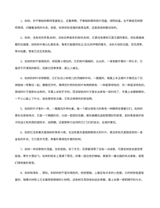 描写松树的段落