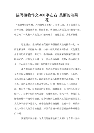 描写植物作文400字左右