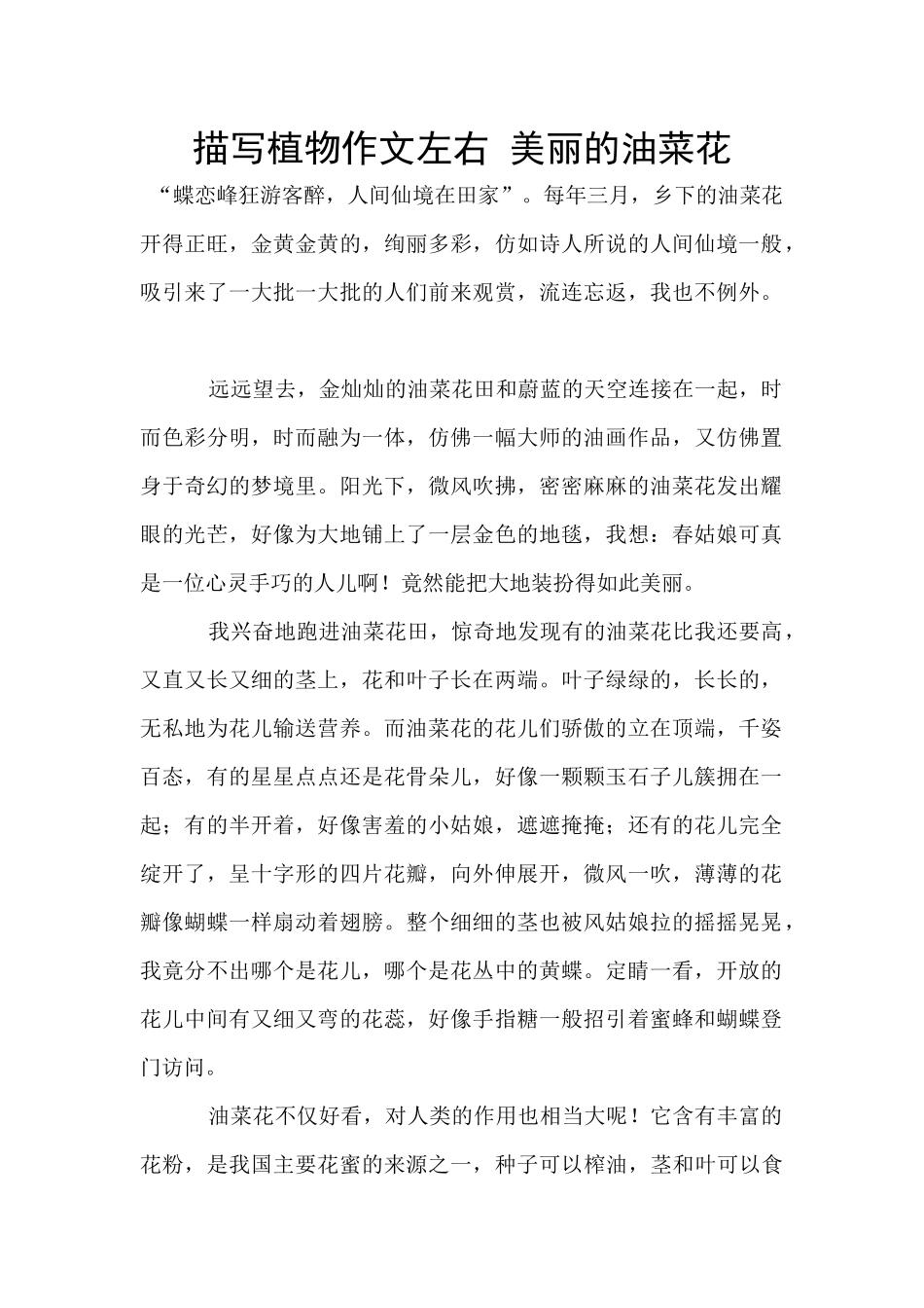 描写植物作文左右_第1页