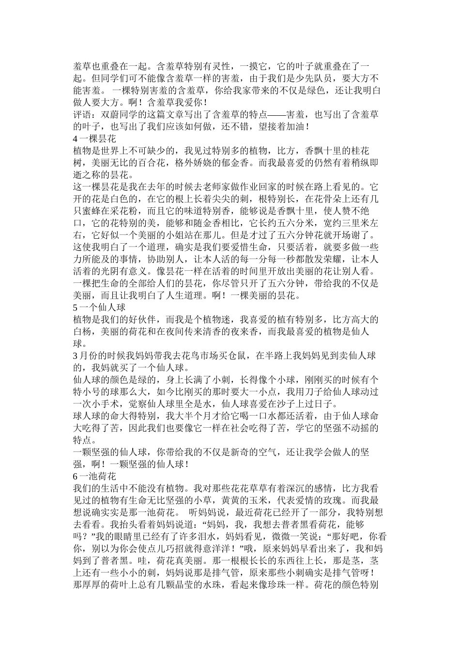 描写植物的作文精选_第2页