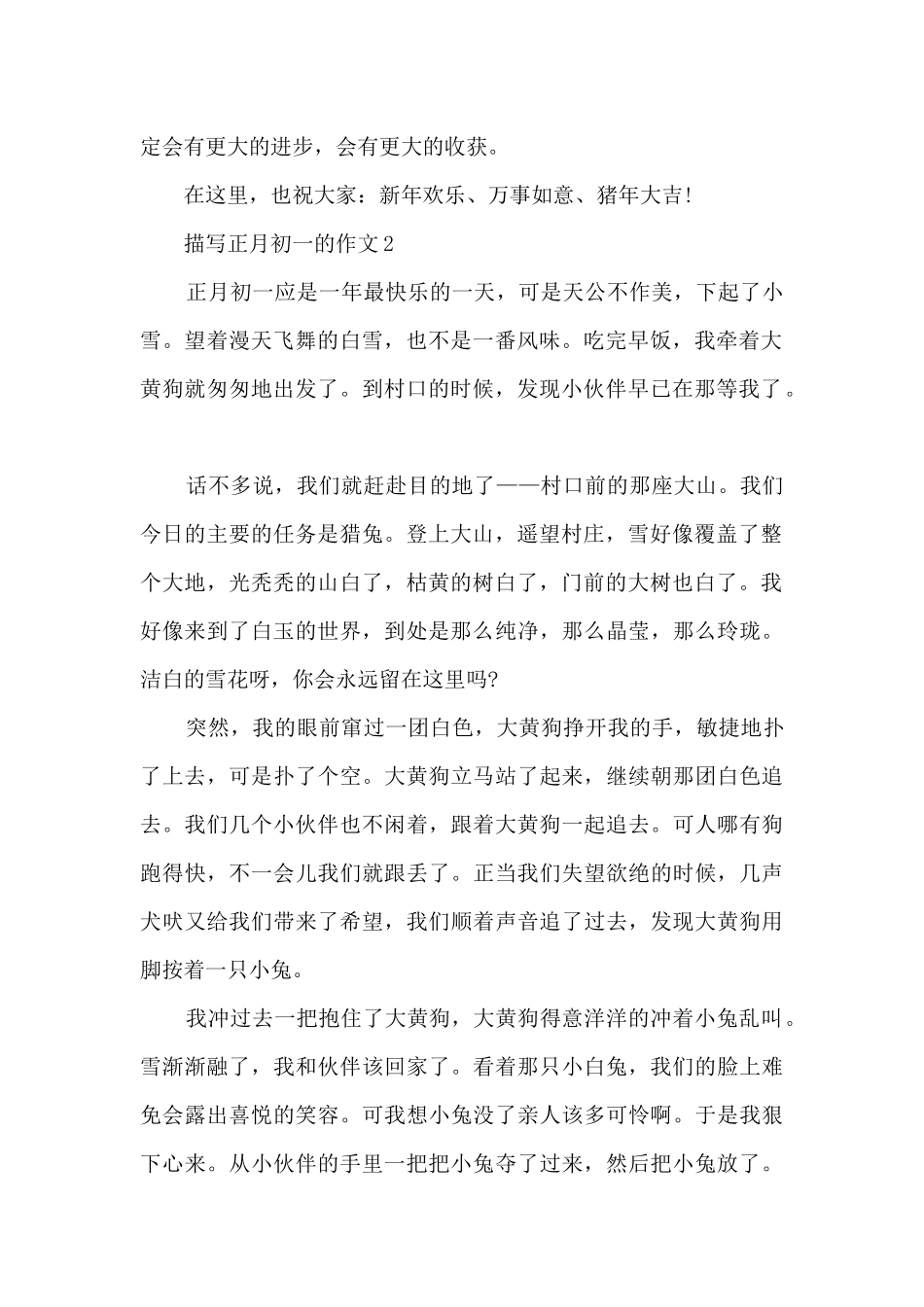 描写正月初一的作文5篇_第2页
