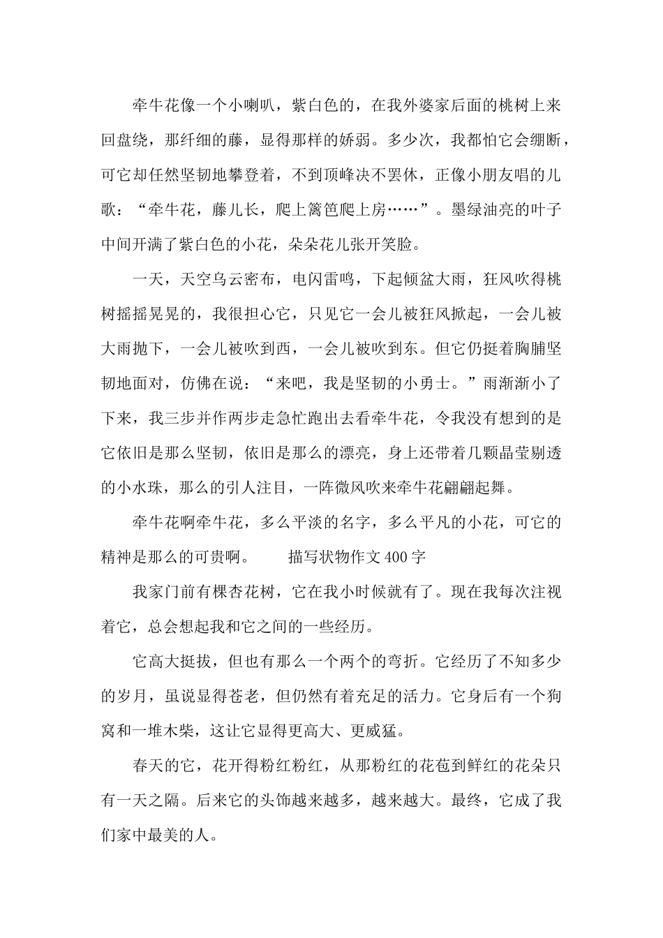 描写状物作文400字_第2页