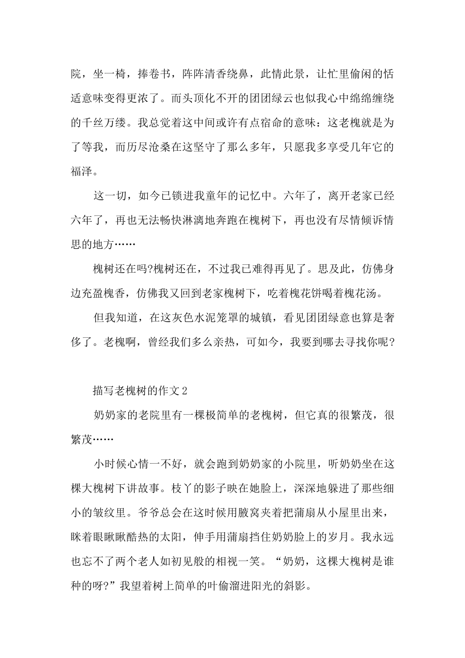 描写老槐树的作文5篇_第2页