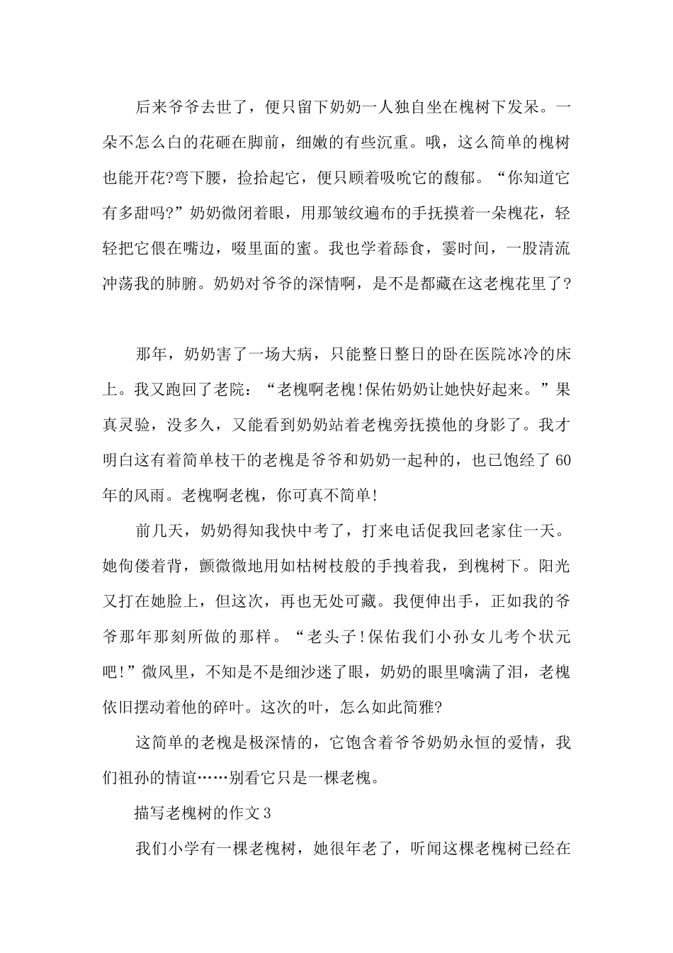 描写老槐树的作文5篇_第3页