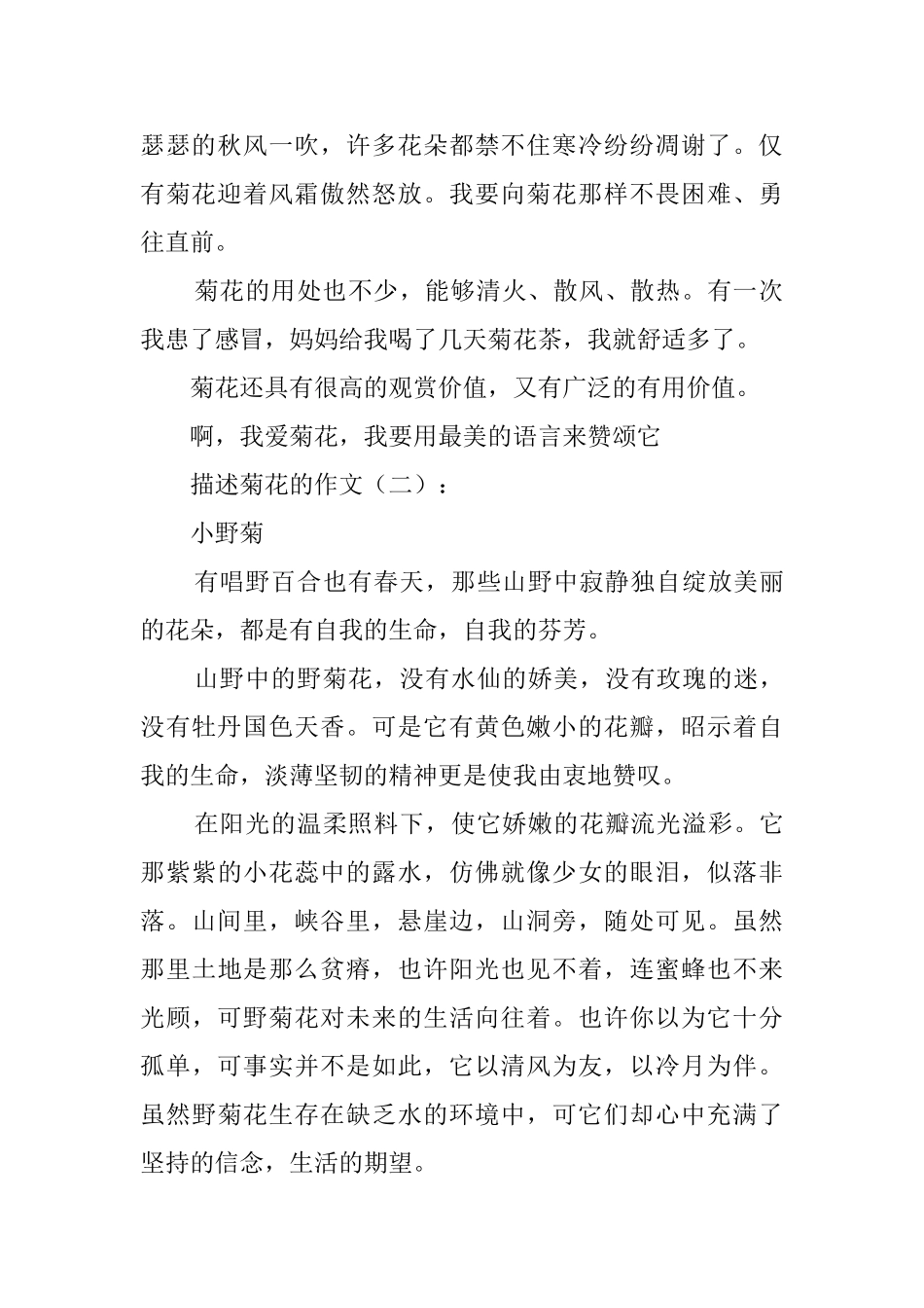 描写菊花的作文_第2页