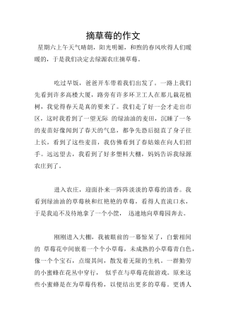 摘草莓的作文
