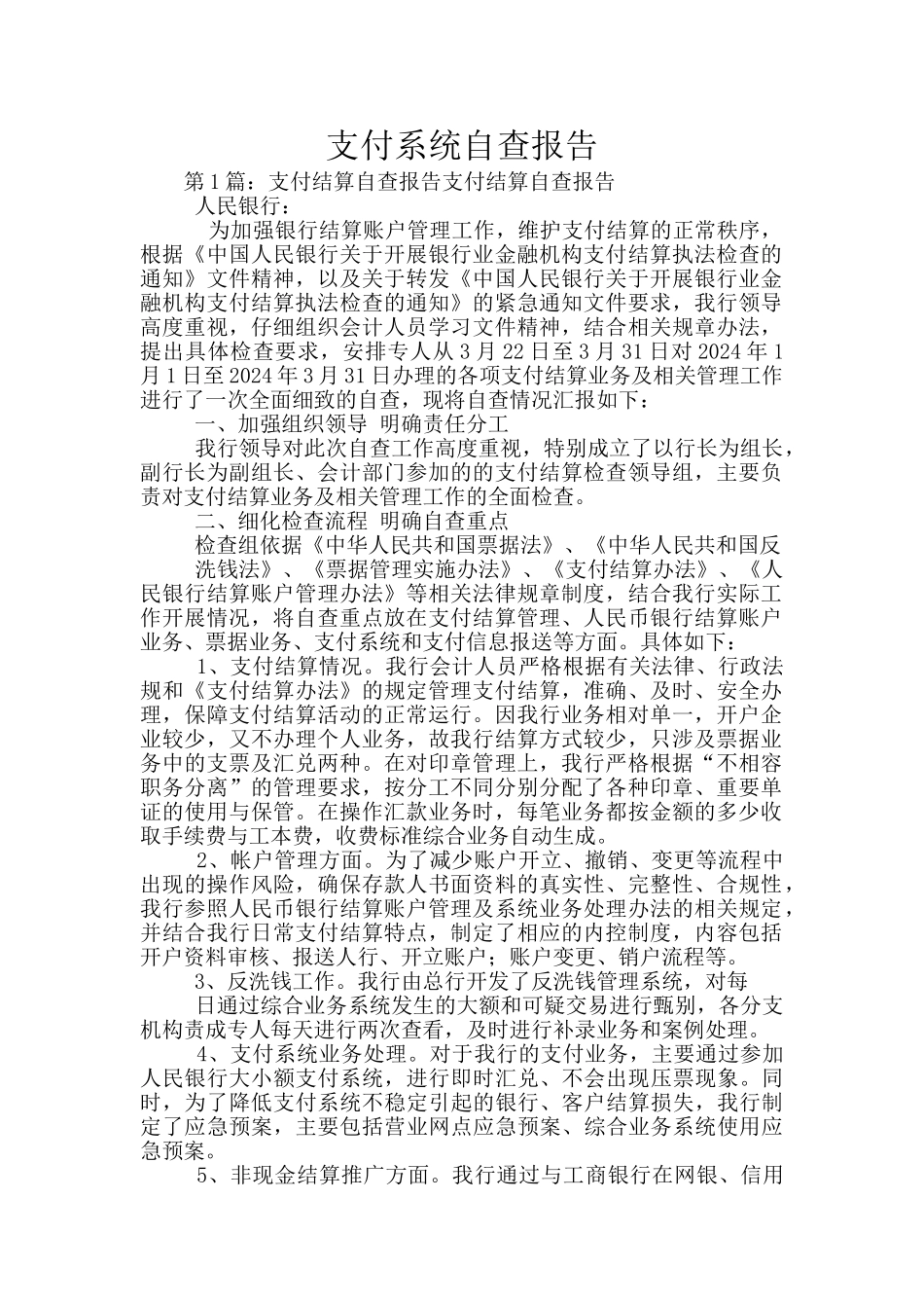 支付系统自查报告_第1页