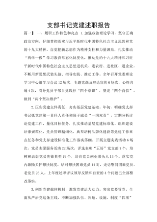 支部书记党建述职报告