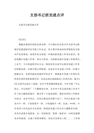 支部书记抓党建点评
