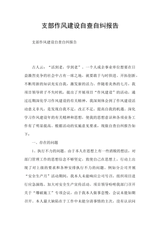 支部作风建设自查自纠报告