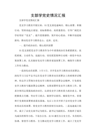 支部学党史情况汇报